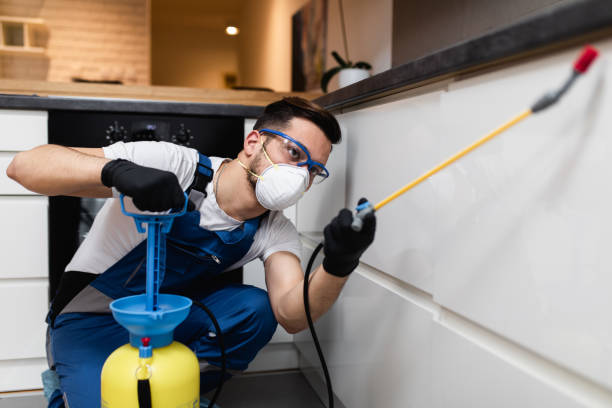 Best Pest Inspection Near Me  in Yuma, AZ
