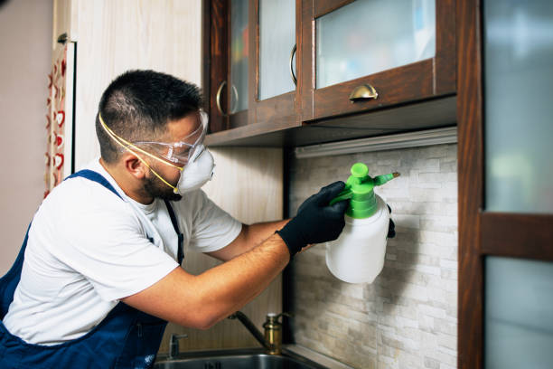 Best Affordable Pest Control Services  in Yuma, AZ