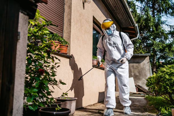 Professional Pest Control in Yuma, AZ
