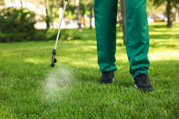 Best Pest Control for Restaurants  in Yuma, AZ