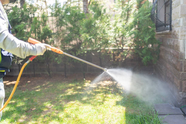 Best Best Pest Control Companies  in Yuma, AZ
