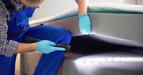 Best Exterminator Services  in Yuma, AZ