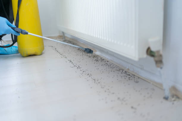  Yuma, AZ Pest Control Pros