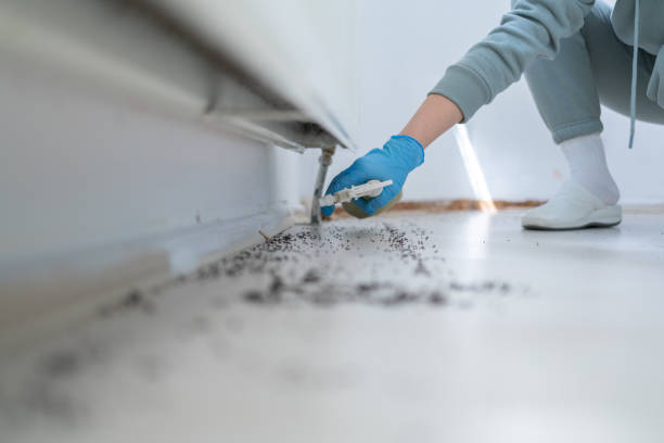 Best Commercial Pest Control Services  in Yuma, AZ